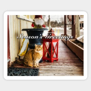 Country Store Christmas Cat Sticker